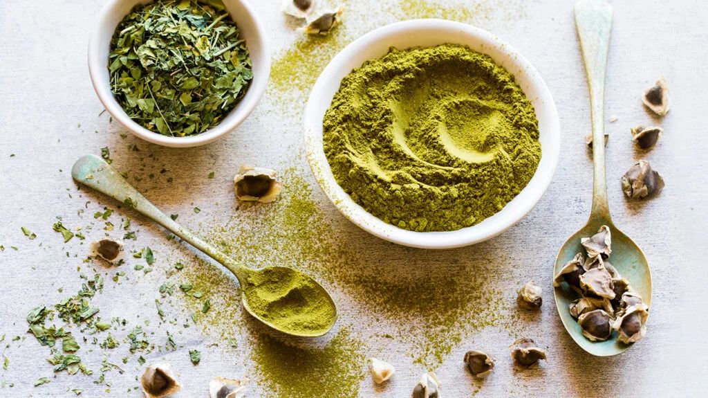 Discover the Benefits of Moringa for Health and Wellness