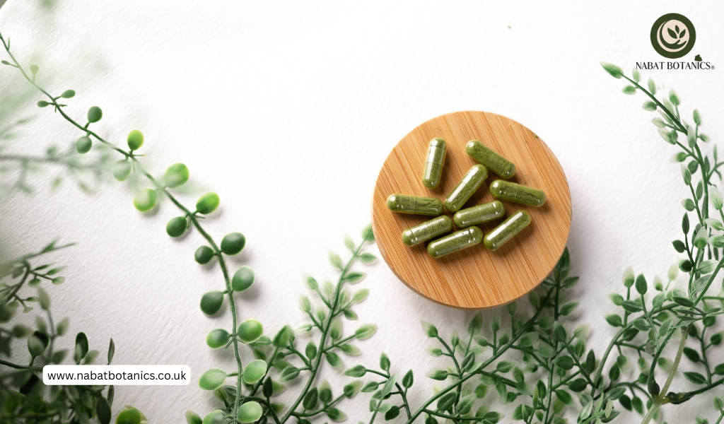 Advantages of Moringa Health Supplement: Boost Vitality and Wellness